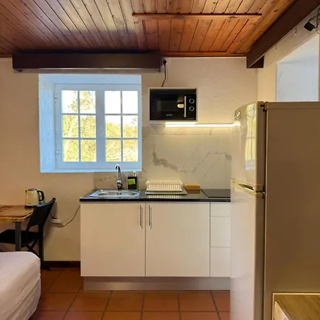 Con Cocina En La Montana